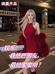 夫郎家的赘婿首辅讲的什么