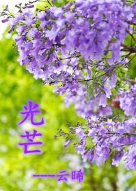 极光之意好看吗