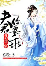夫郎家的赘婿首辅txt百度